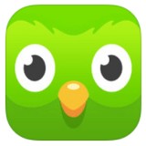 Apps — helpful tools for expats